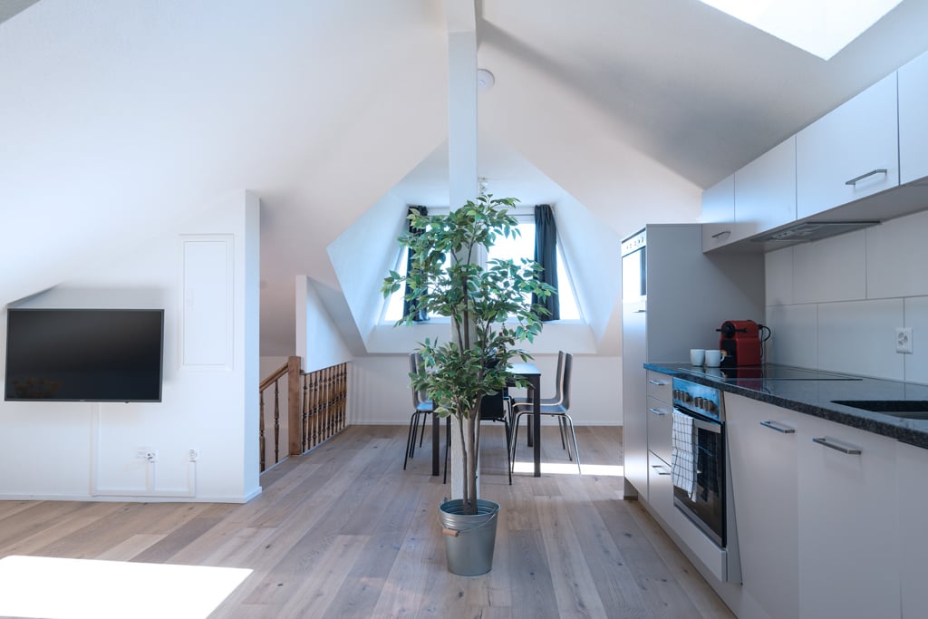 3 ½ rooms furnished flat