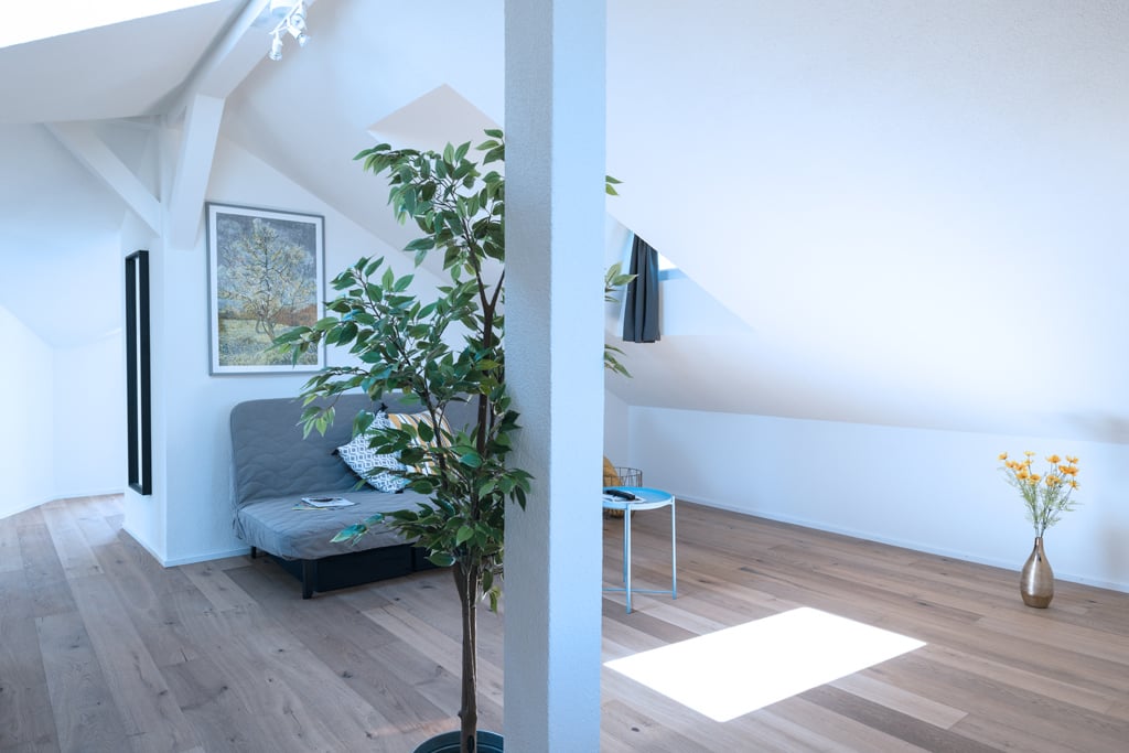 3 ½ rooms furnished flat