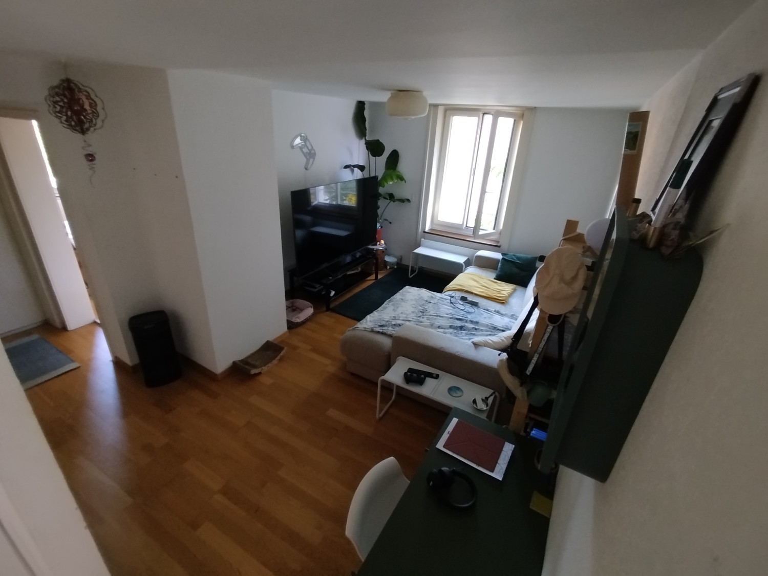 Chambre dans une colocation