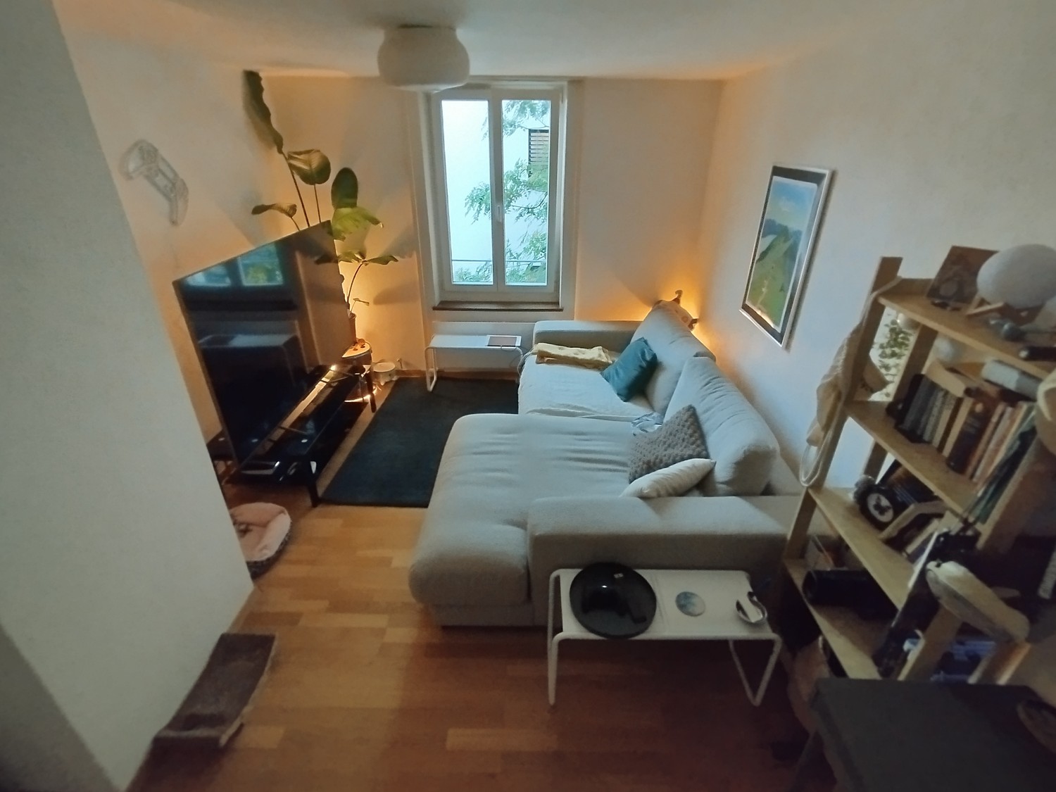 Chambre dans une colocation