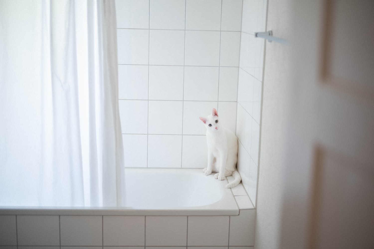 Room in a shared flat, Foto 6 von 6