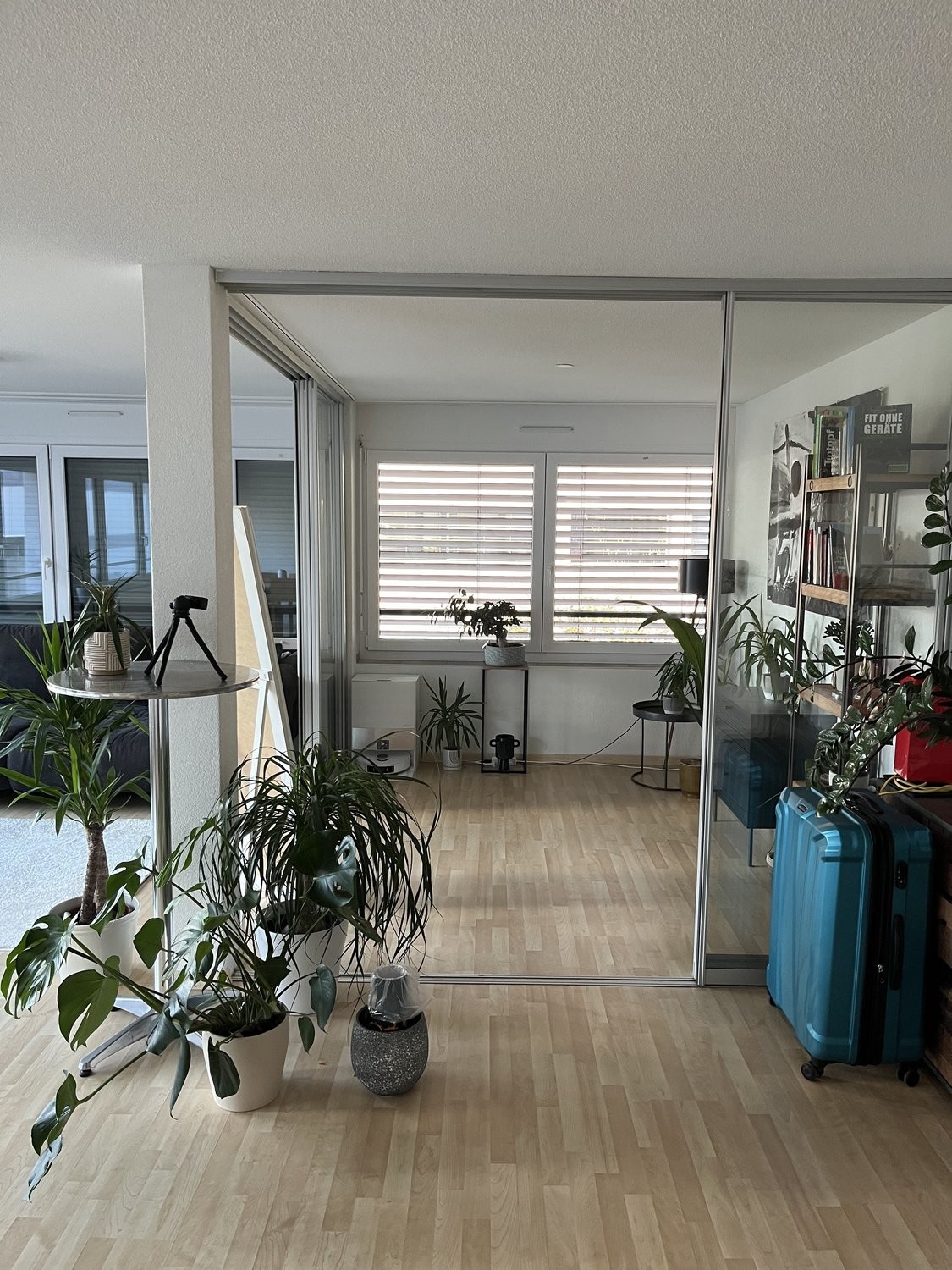 2 ½ rooms furnished flat