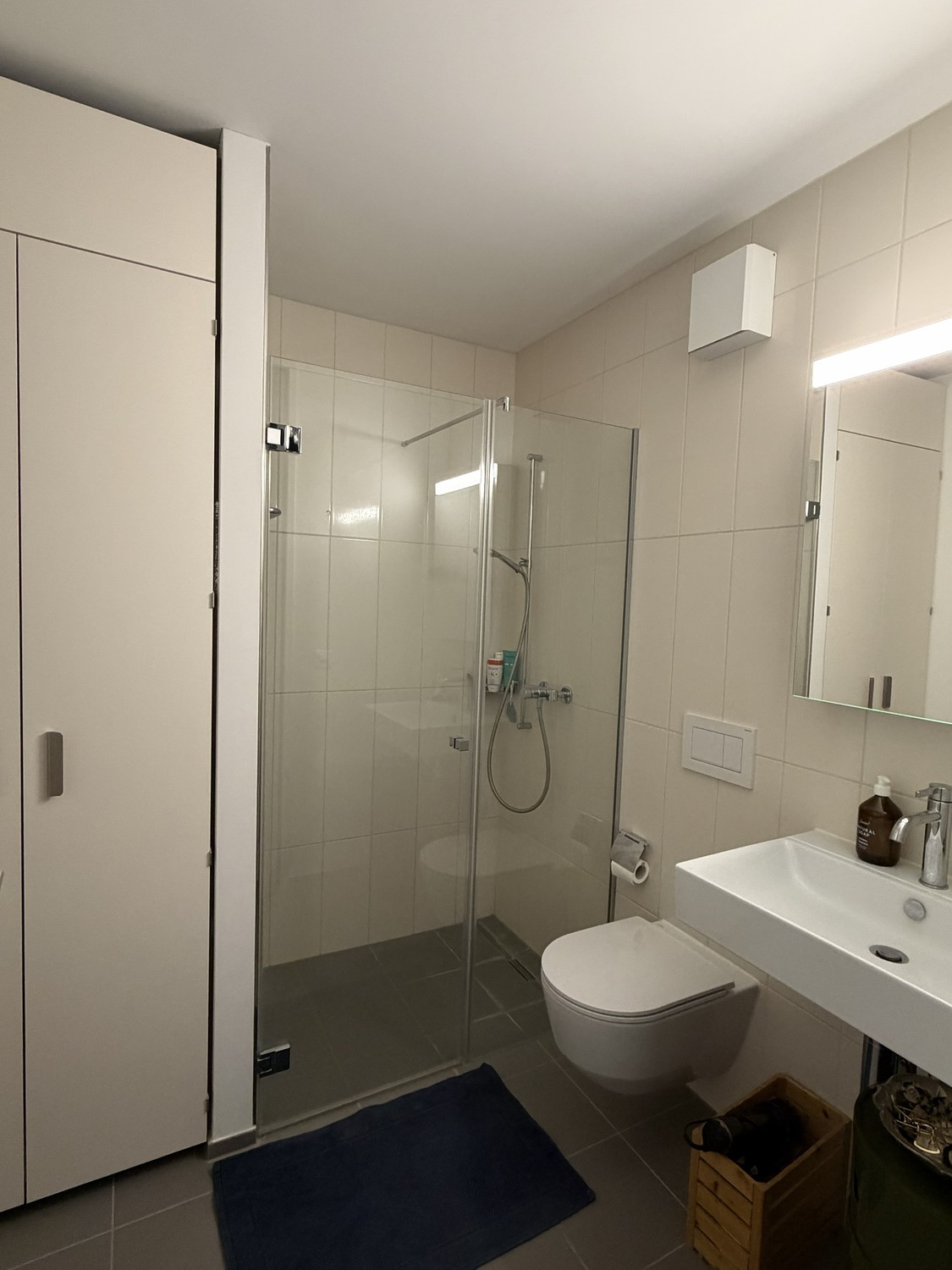 2 ½ rooms apartment