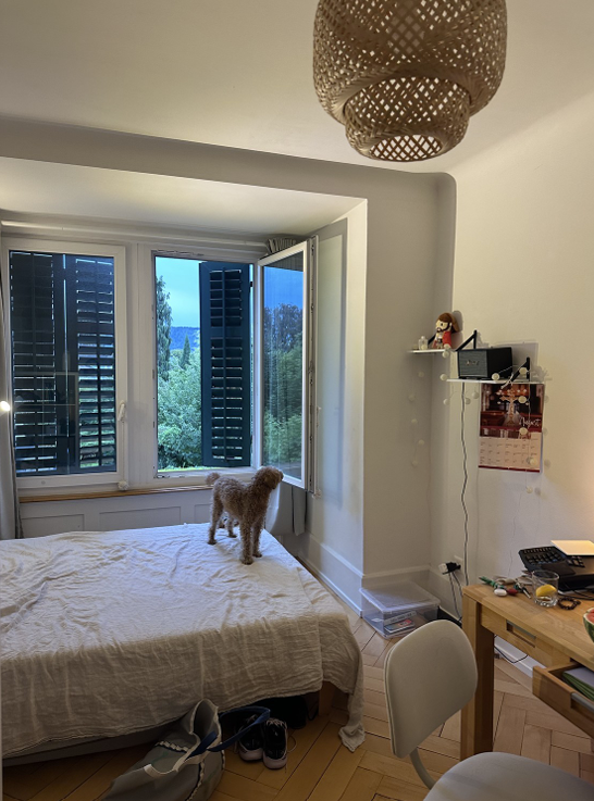Zimmer in einer WG, Foto 9 von 10