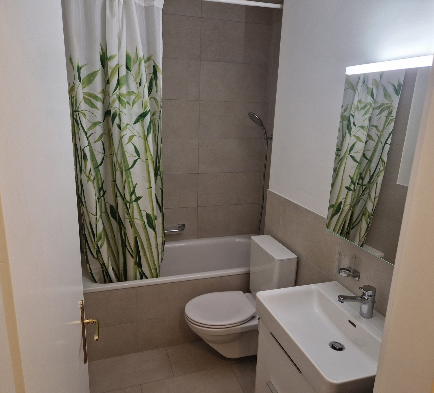 2 ½ rooms apartment