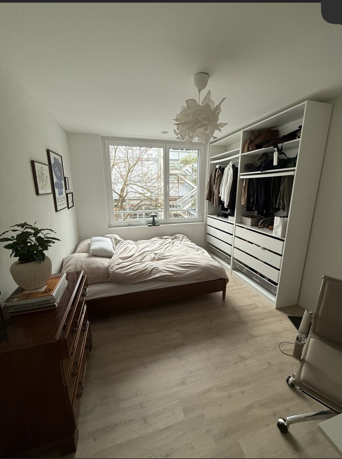 Chambre en colocation
