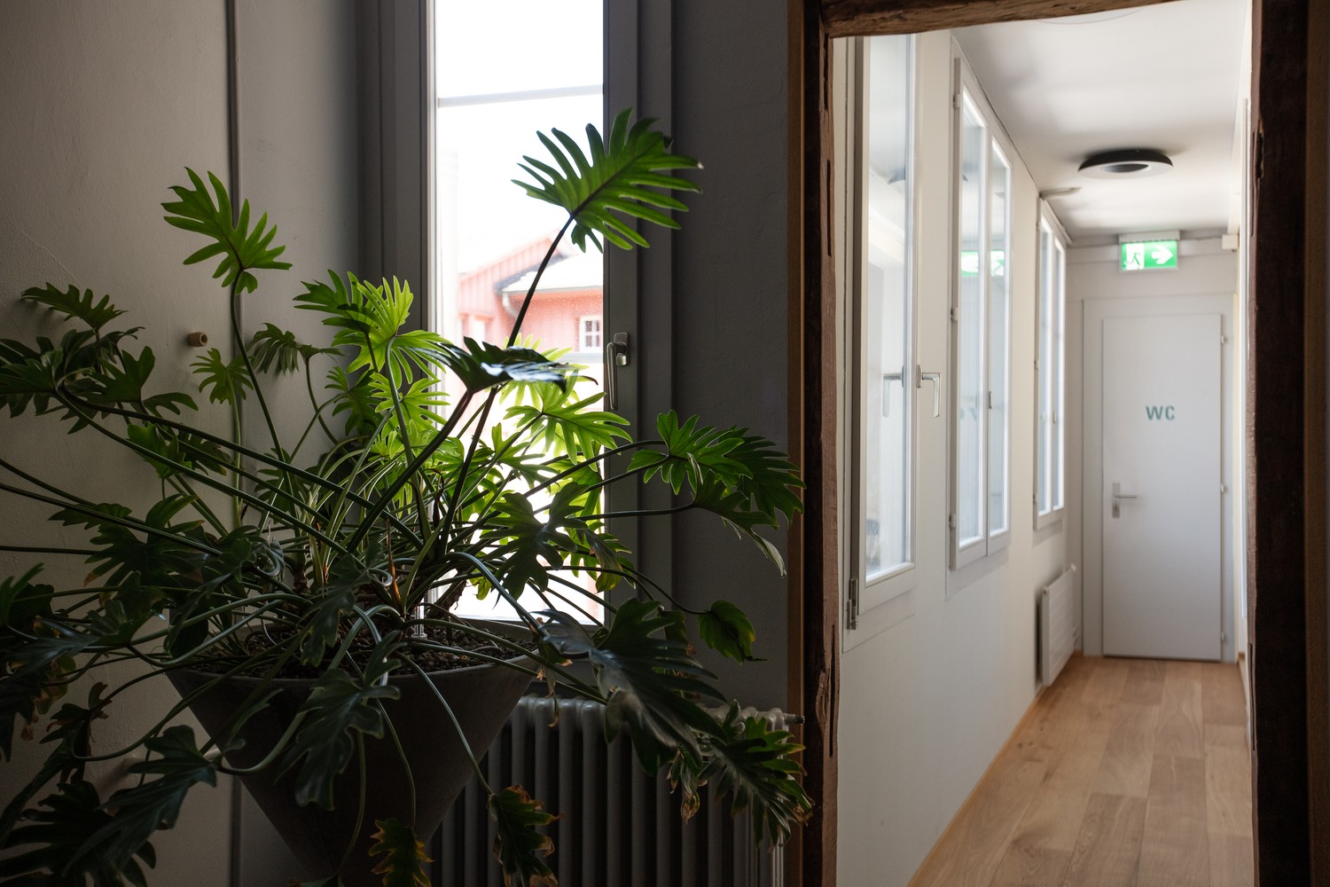145m² bureau