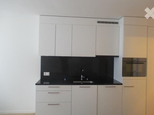 appartement 1 pièce