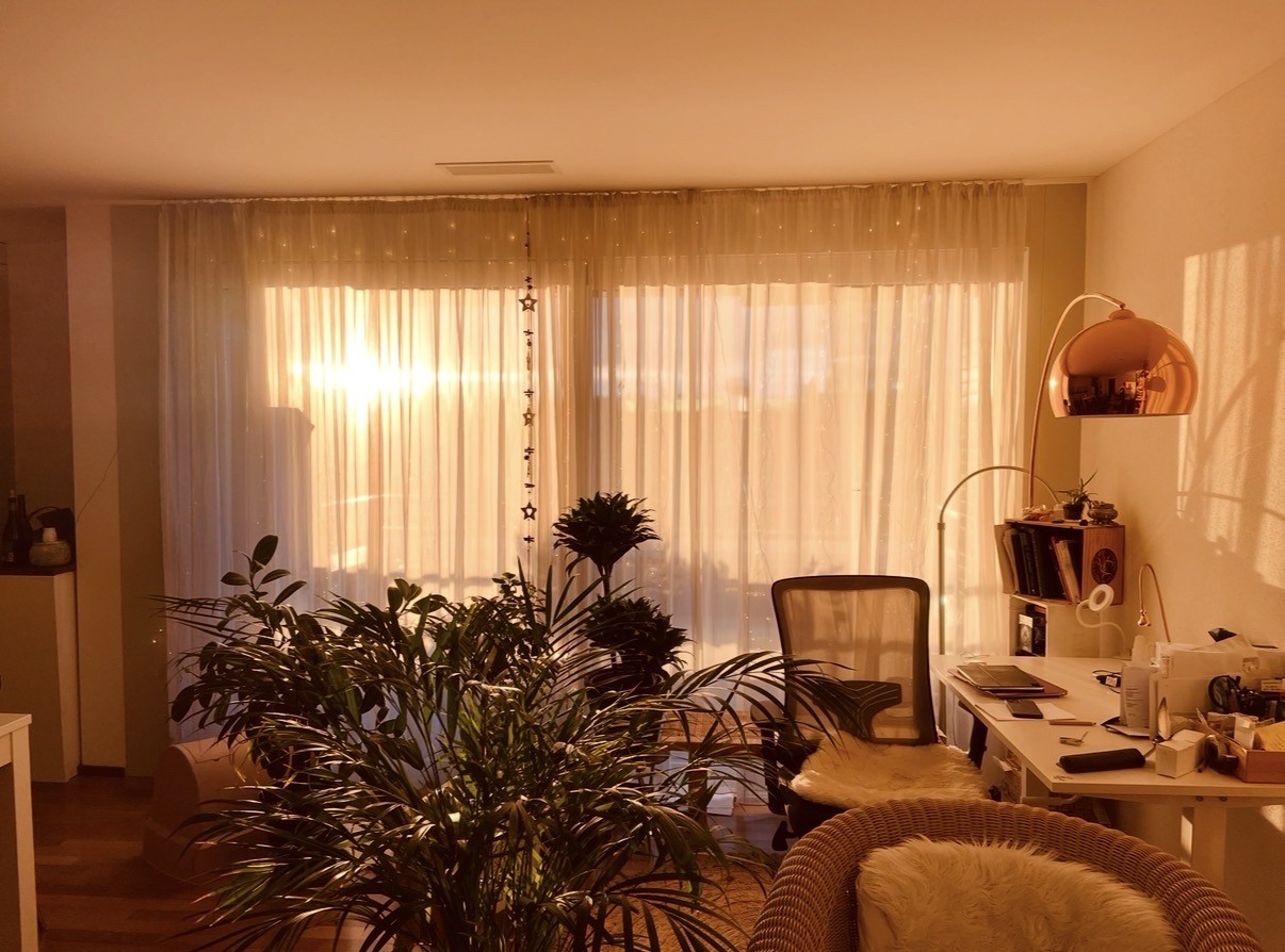 3 ½ Zimmer Wohnung