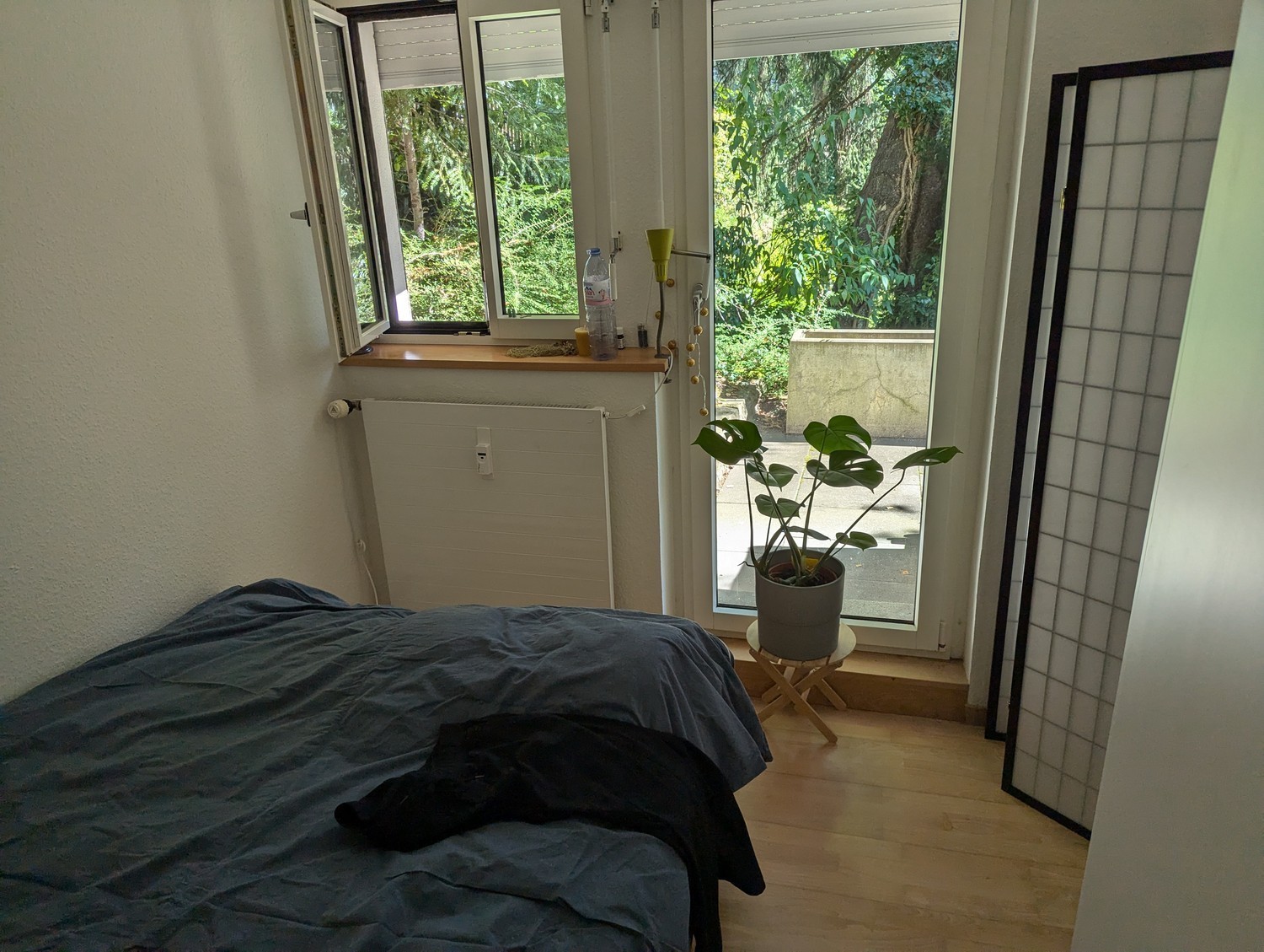 2 ½ Zimmer Wohnung