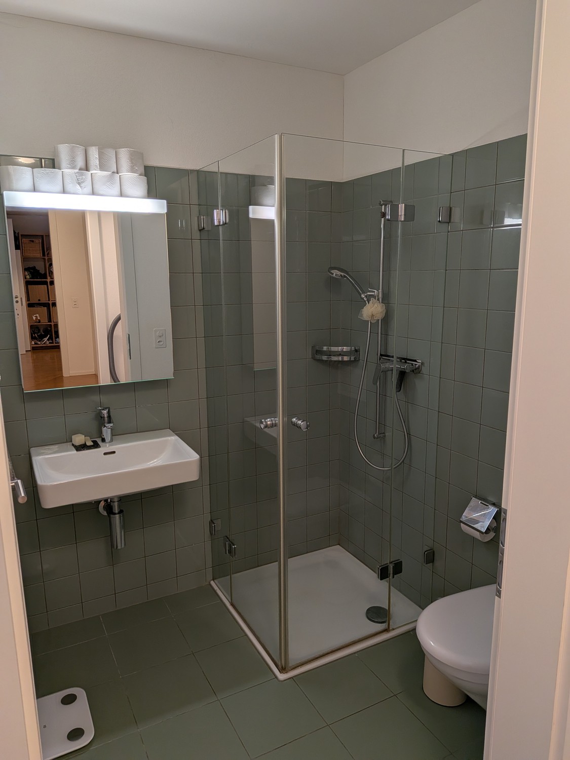 Appartement de 2 ½ pièces