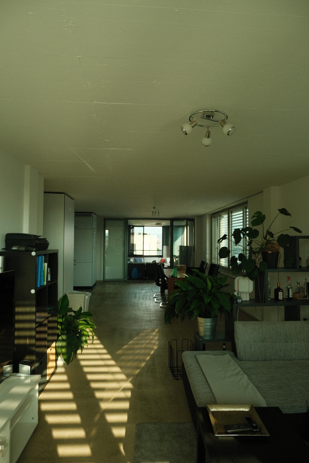 Room in a shared flat