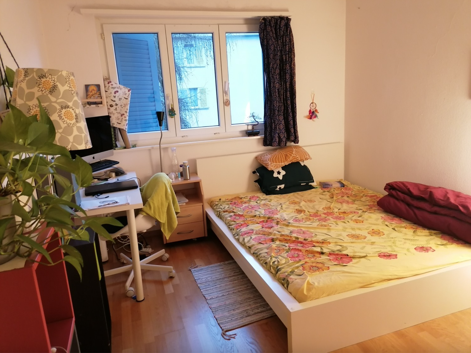 Chambre dans une colocation

Disponible jusqu'au 2 décembre. Il y a une autre colocataire, qui fait un doctorat à l'ETH.

À 2-3 min à pied des arrêts de bus. À 5 min à pied de la gare d'Affoltern. Zurich HB est à 24 min en train. Marché de produits turcs en face de la maison. Migros, Coop et Denner 