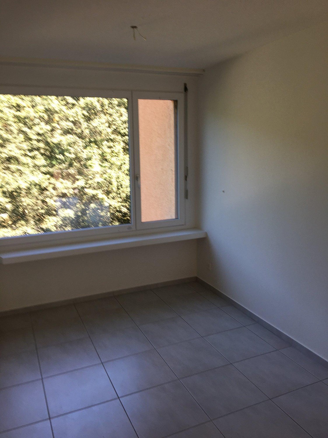 4 ½ Zimmer-Wohnung