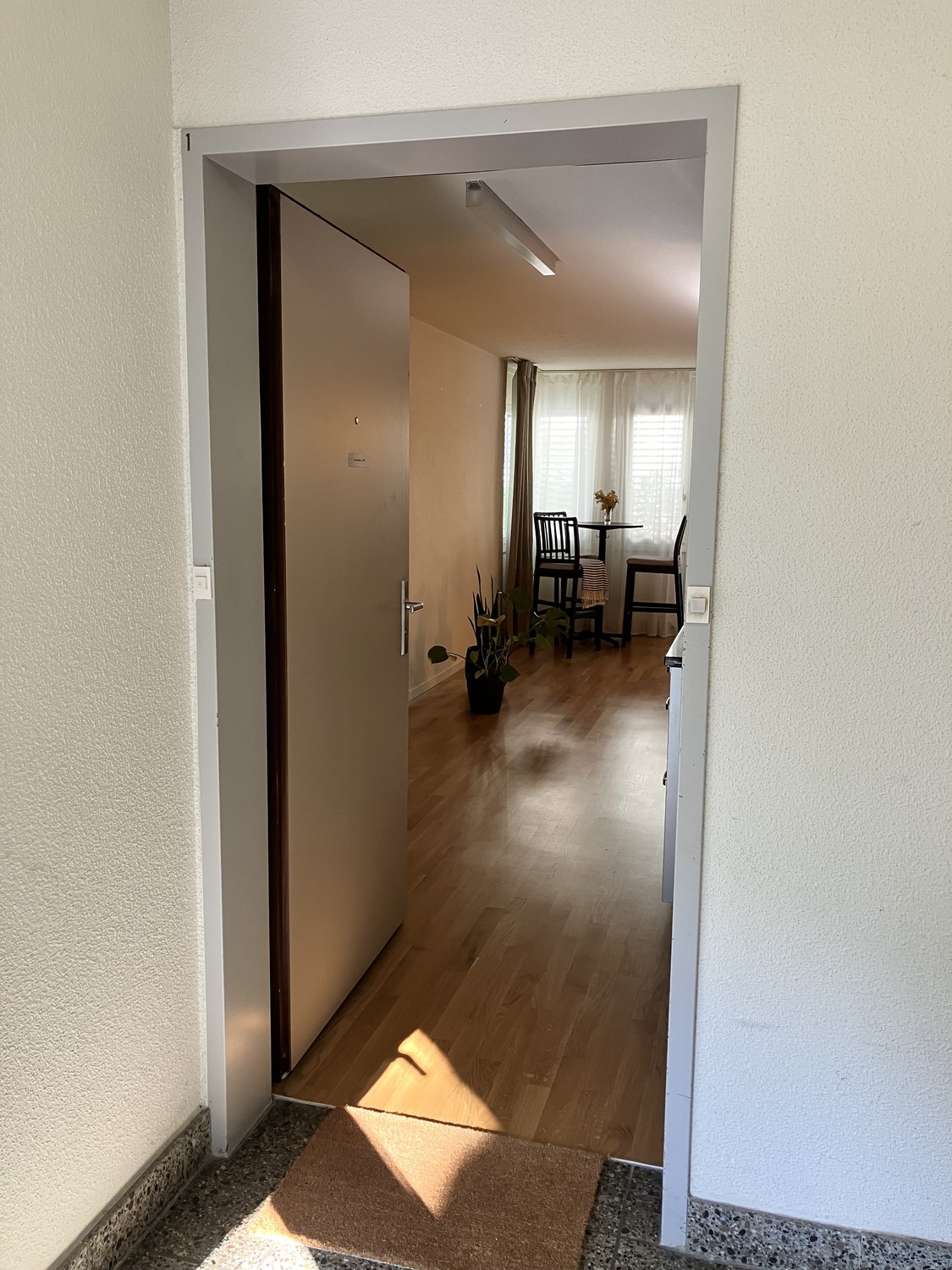 1 ½ Zimmer-Wohnung