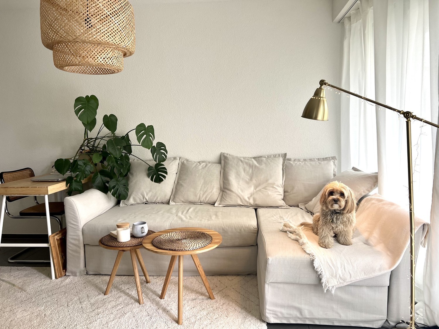Appartement de 1 ½ pièces