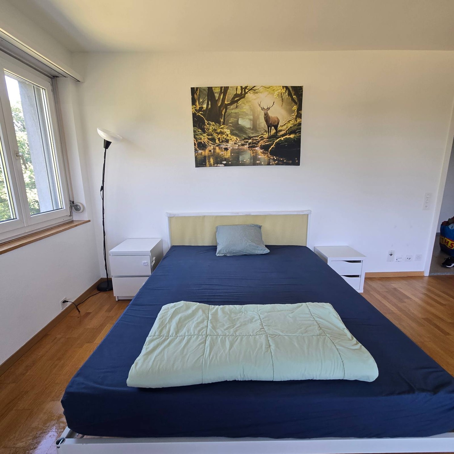Room in a shared flat