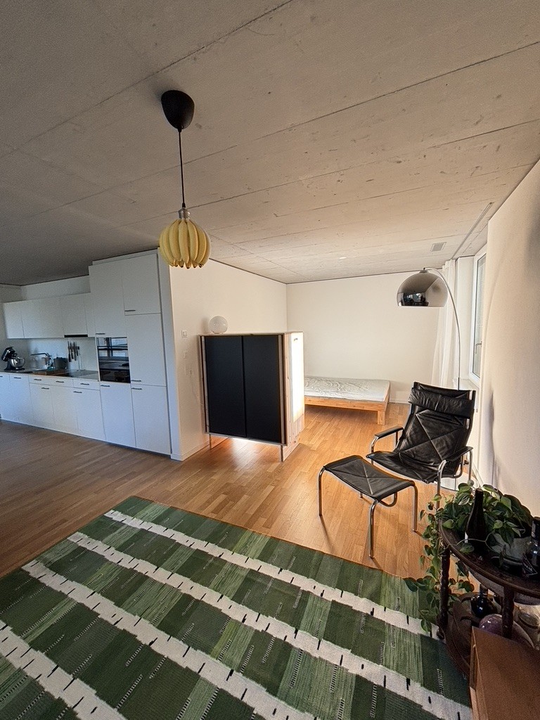 1 room apartment