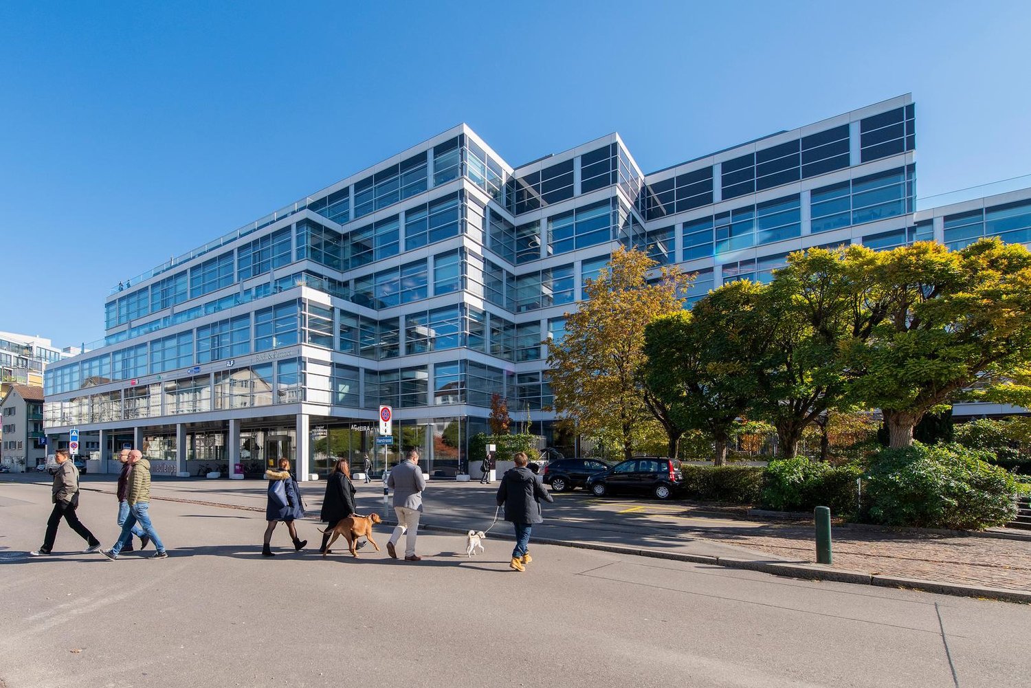 1243m² office