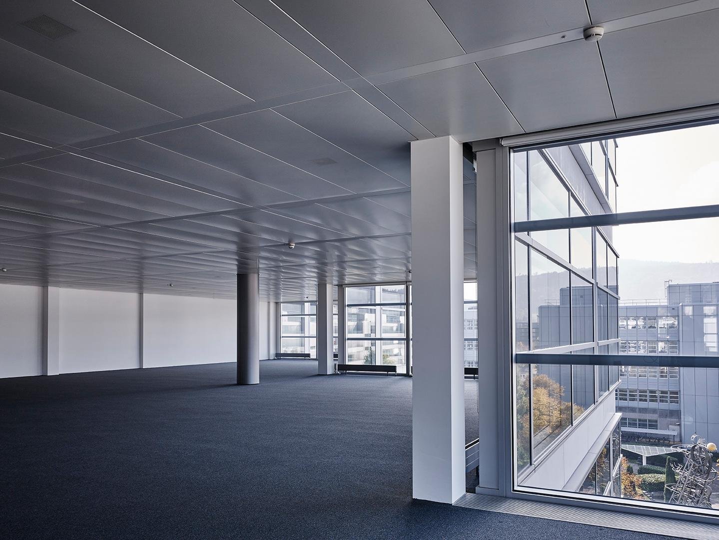 1243m² office