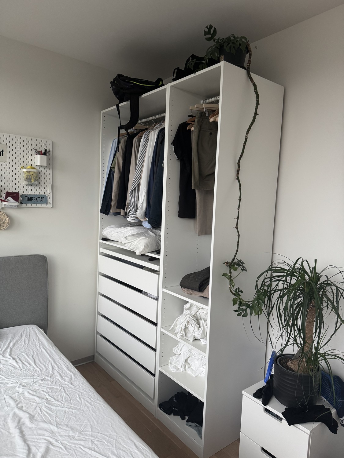 Chambre en colocation