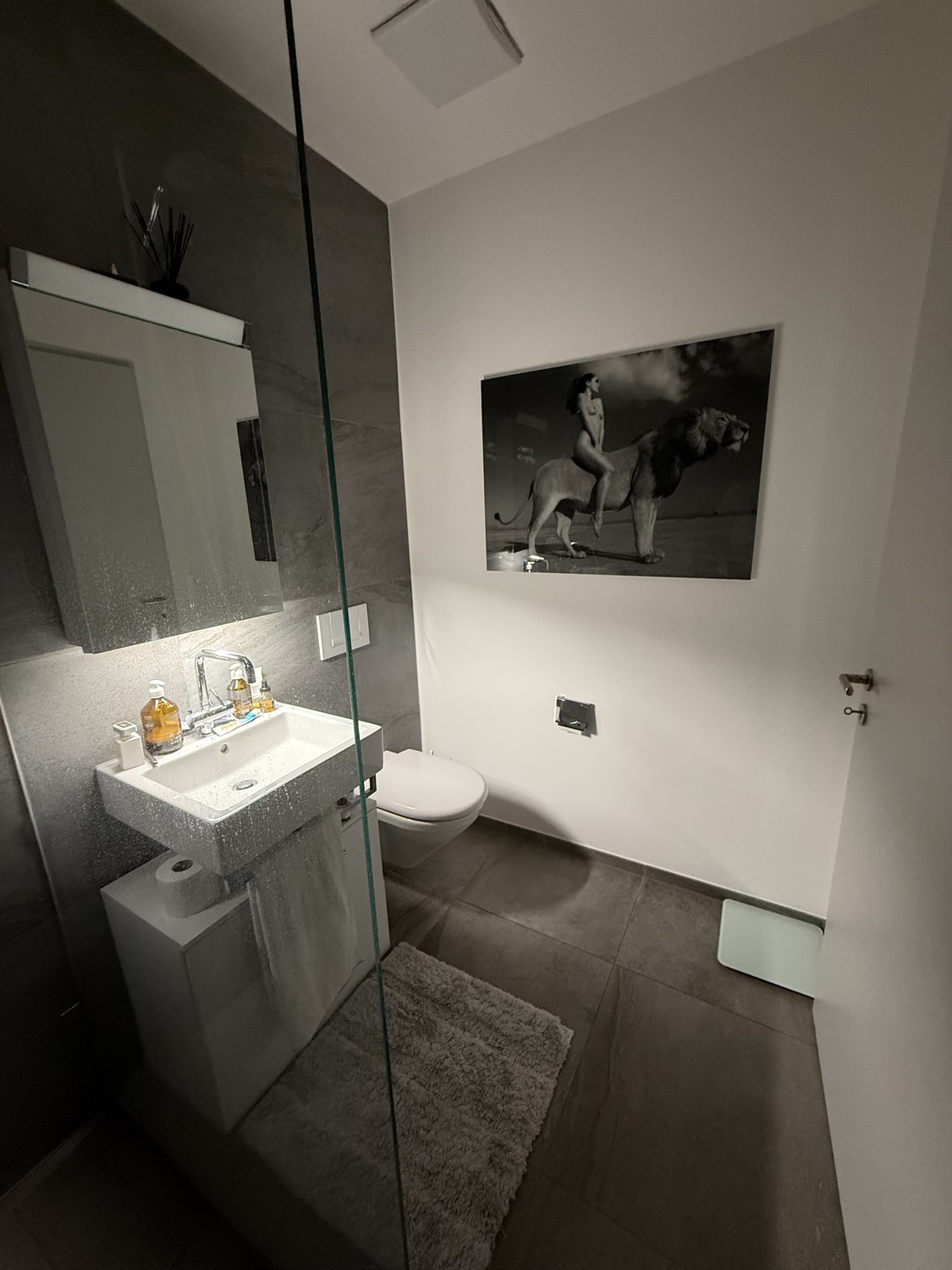 2 ½ Zimmer-Wohnung