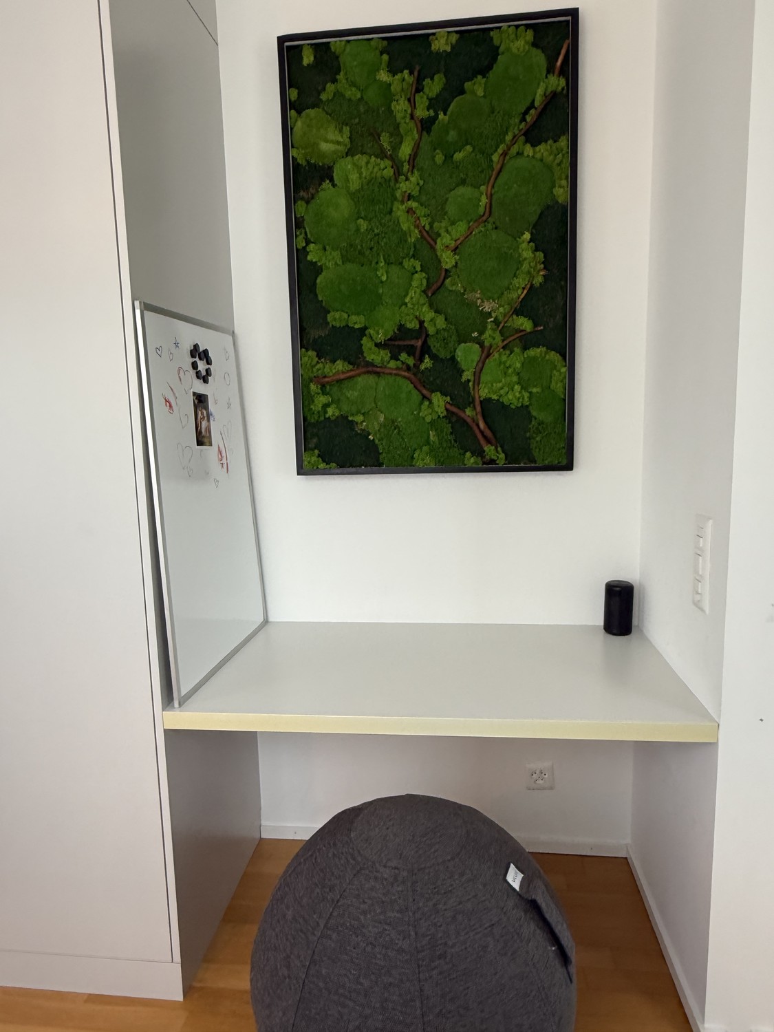 2 ½ Zimmer-Wohnung