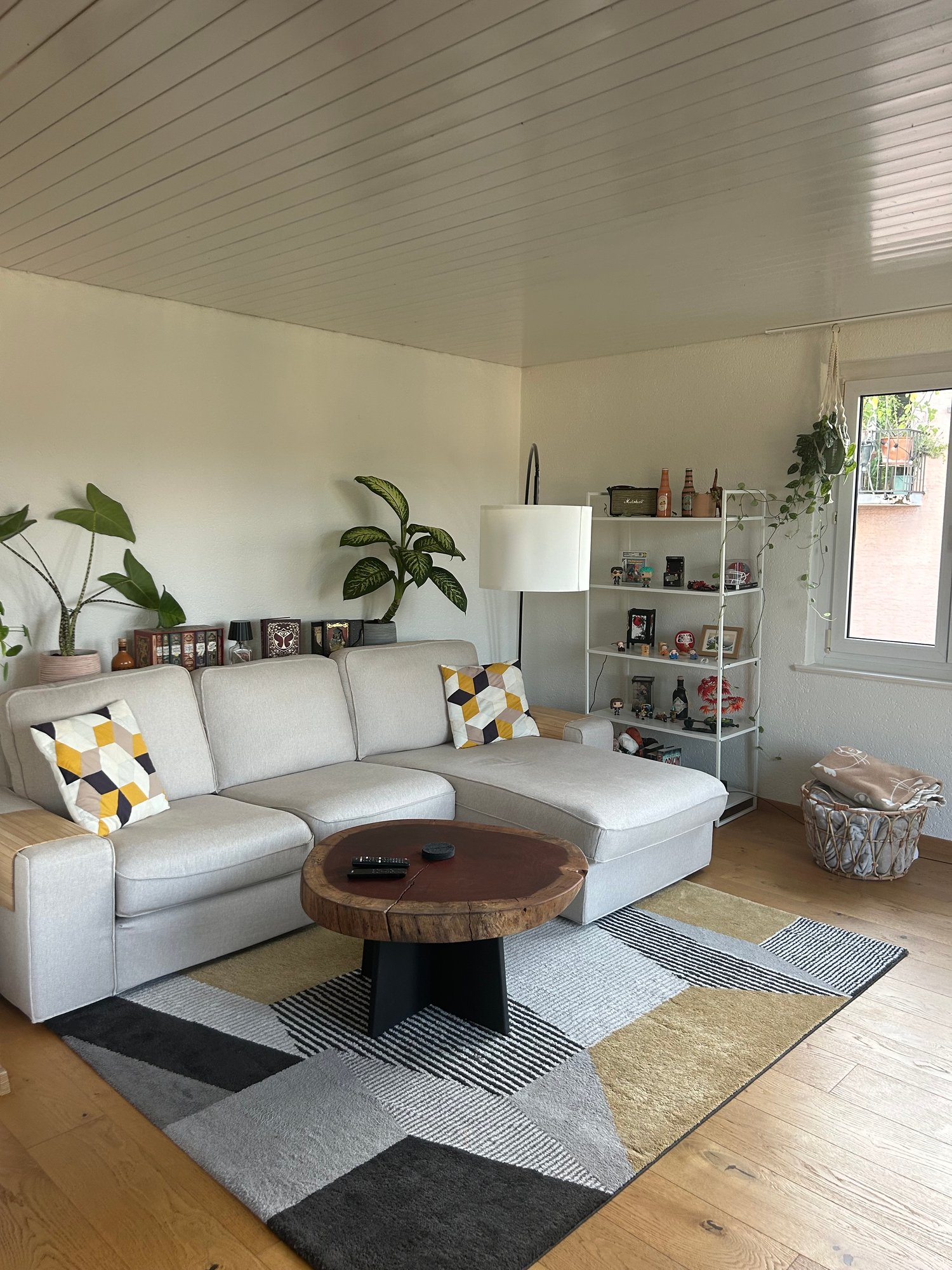 Room in a shared flat