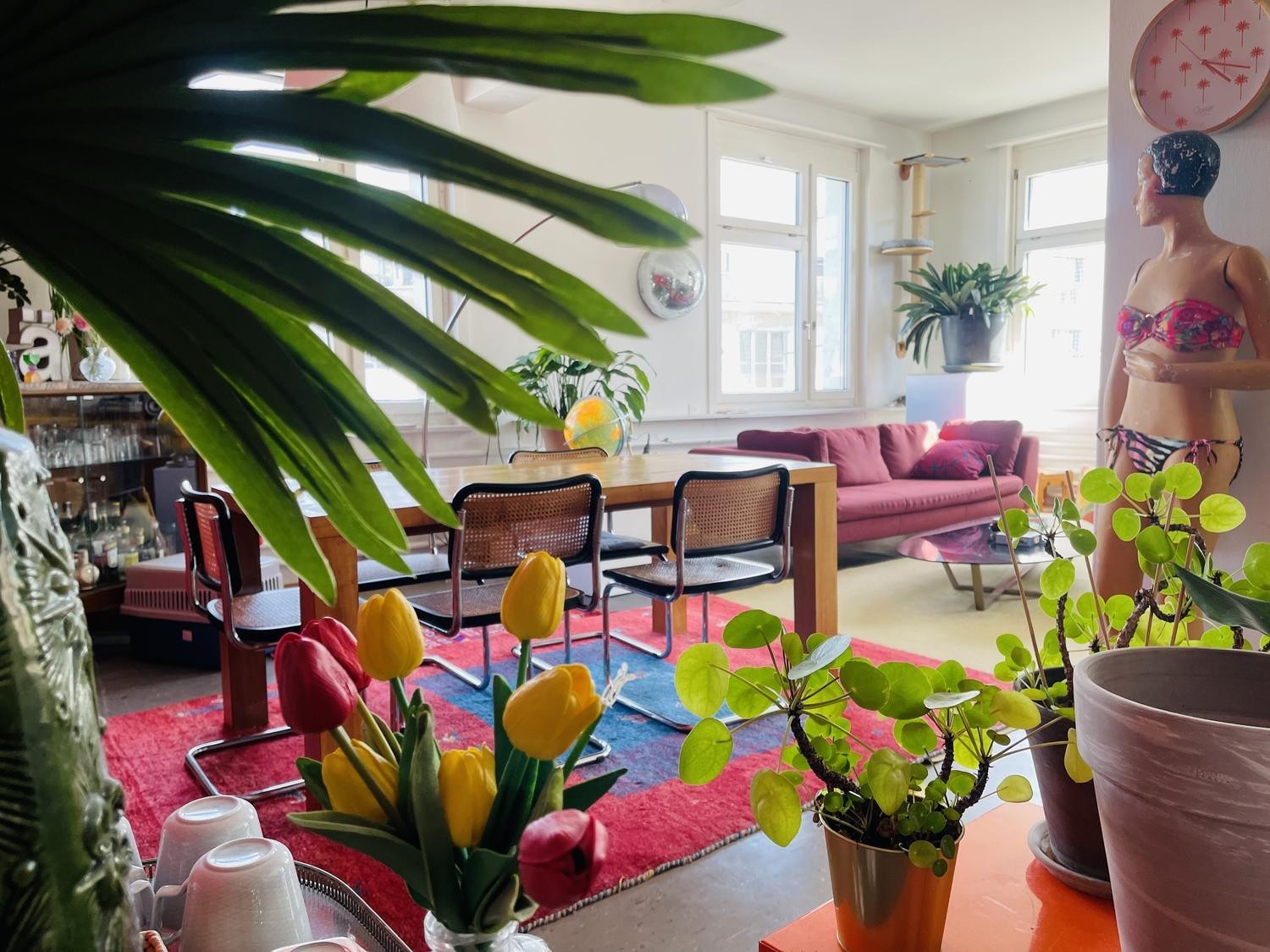 Room in a shared flat