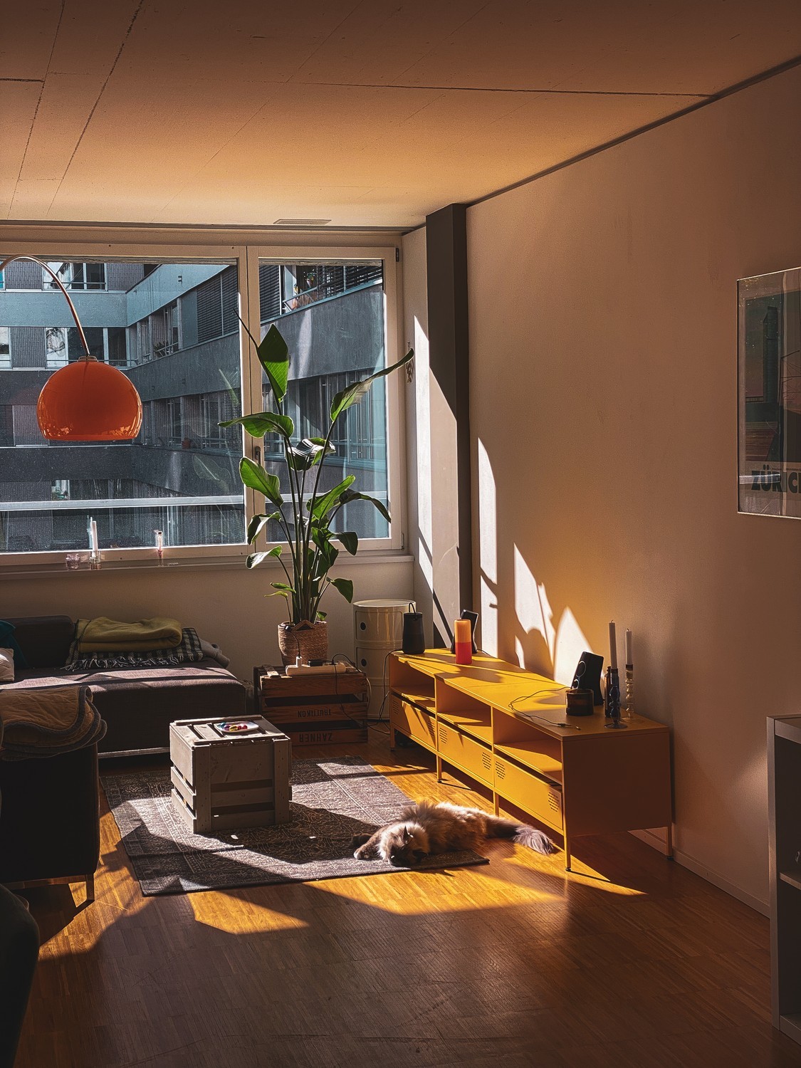 Chambre en colocation, photo 5 sur 10