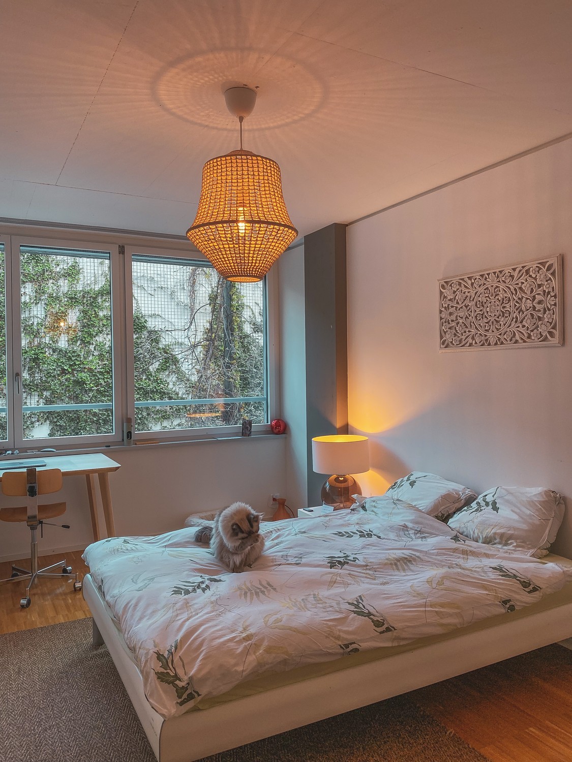 Chambre en colocation, photo 1 sur 10