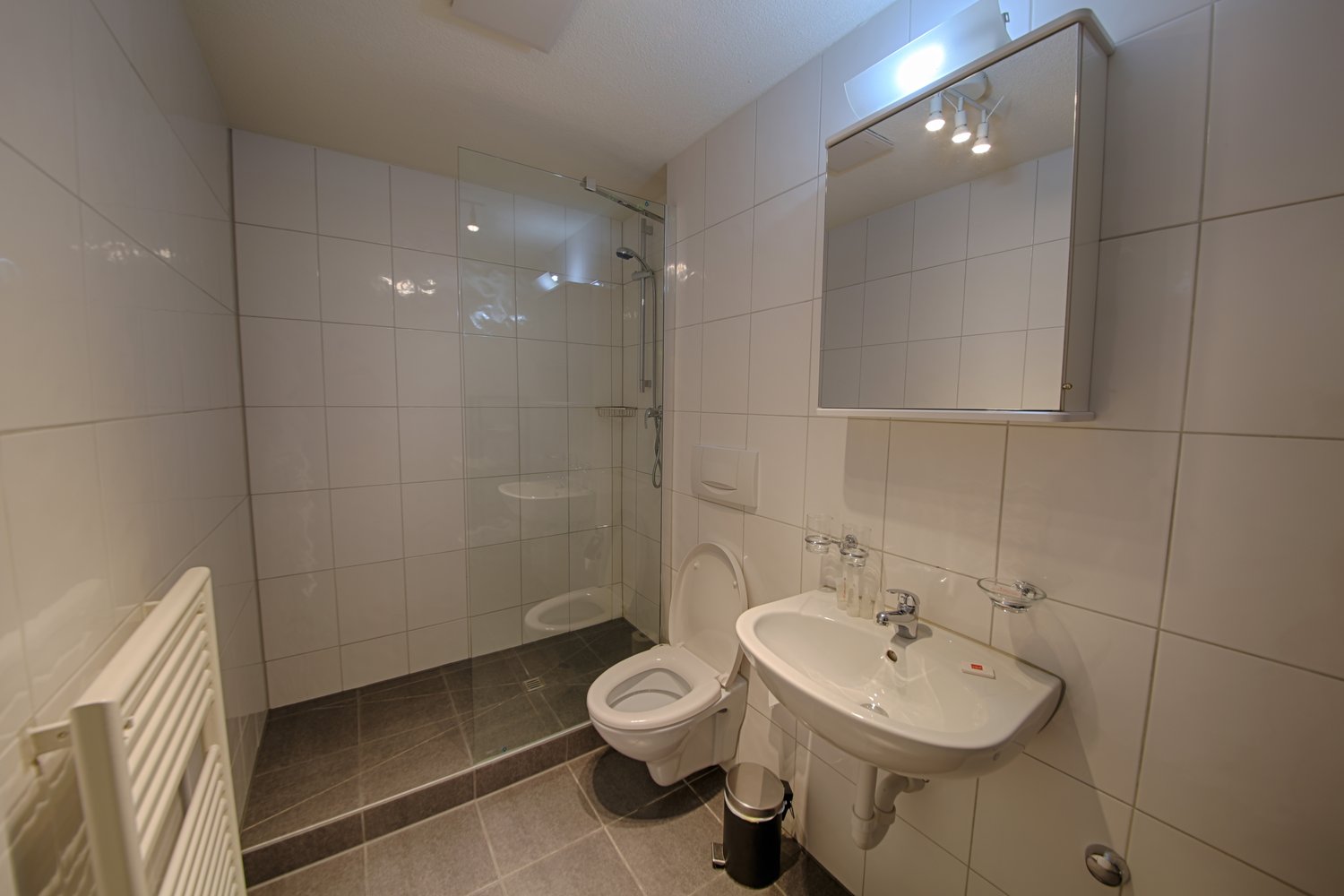 2 ½ room furnished flat