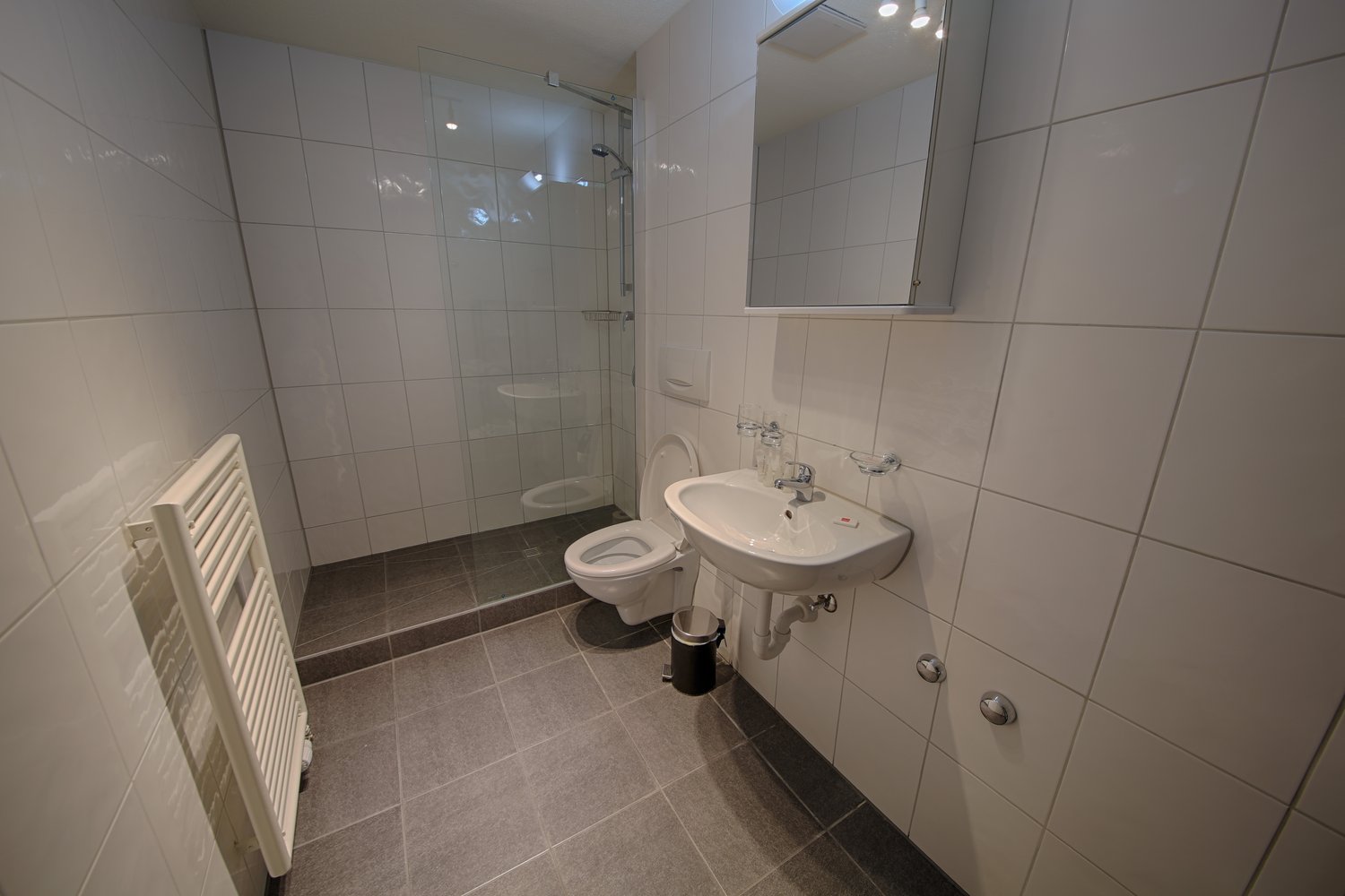 2 ½ room furnished flat