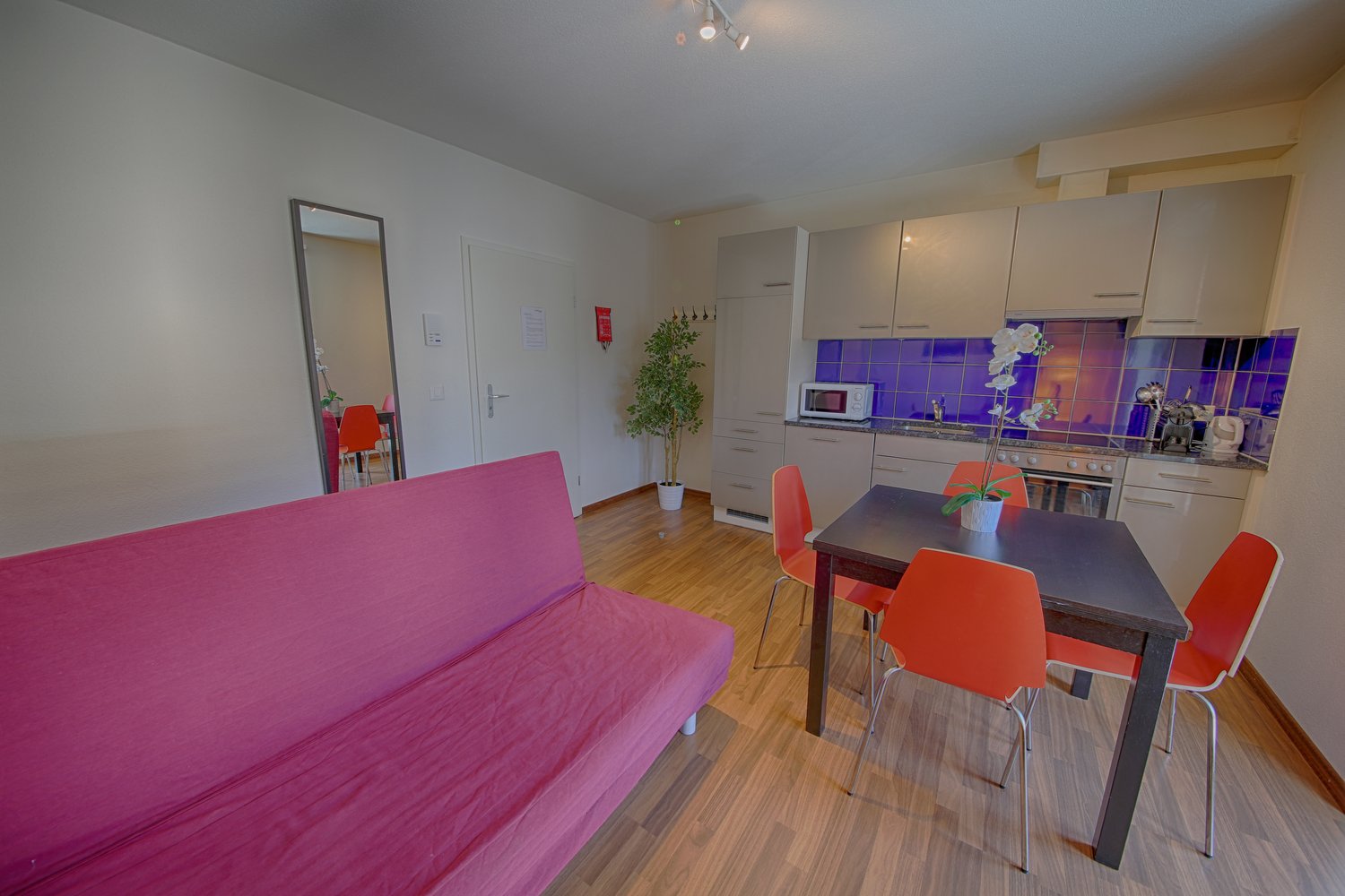 2 ½ room furnished flat