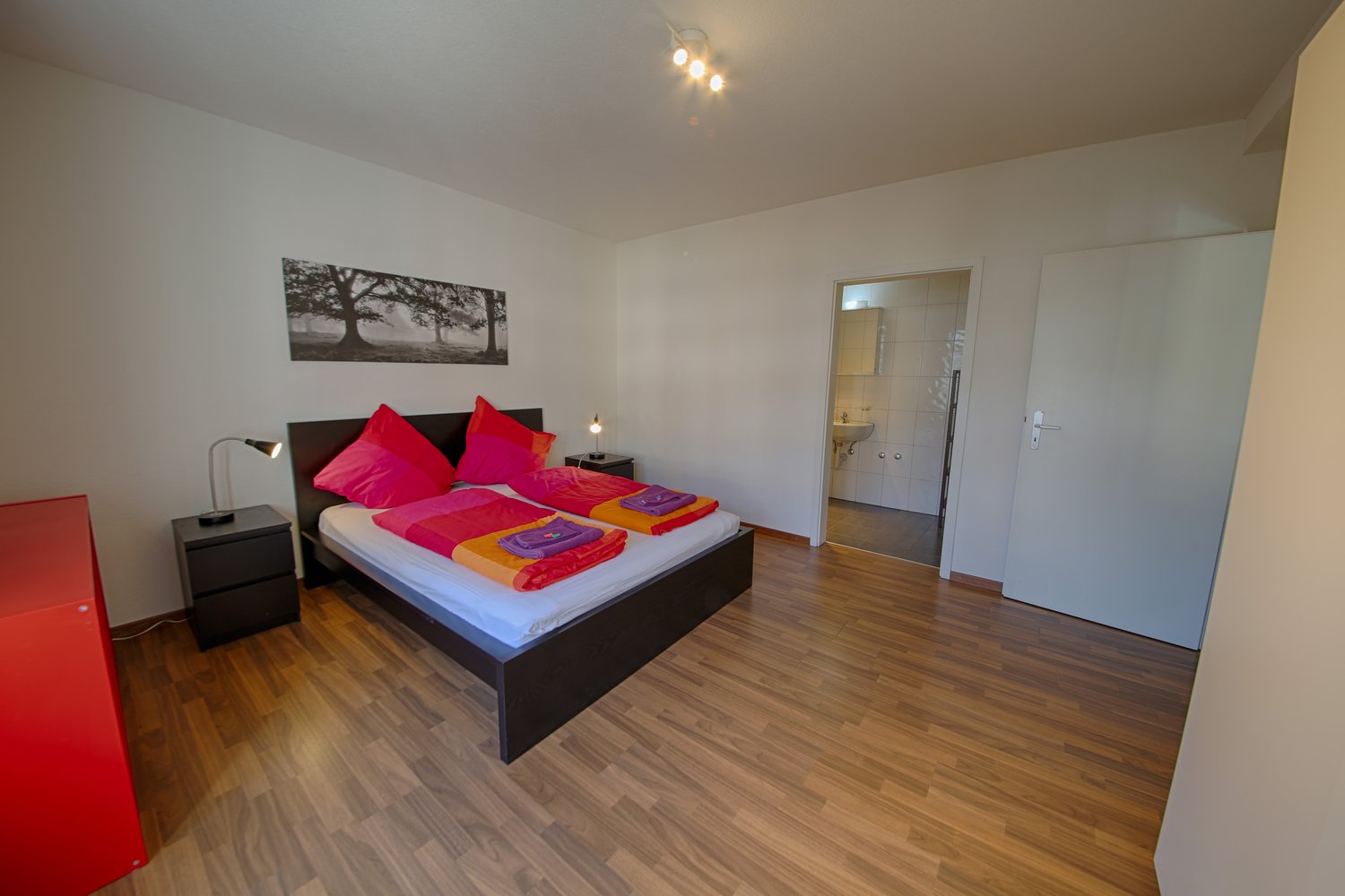 2 ½ room furnished flat