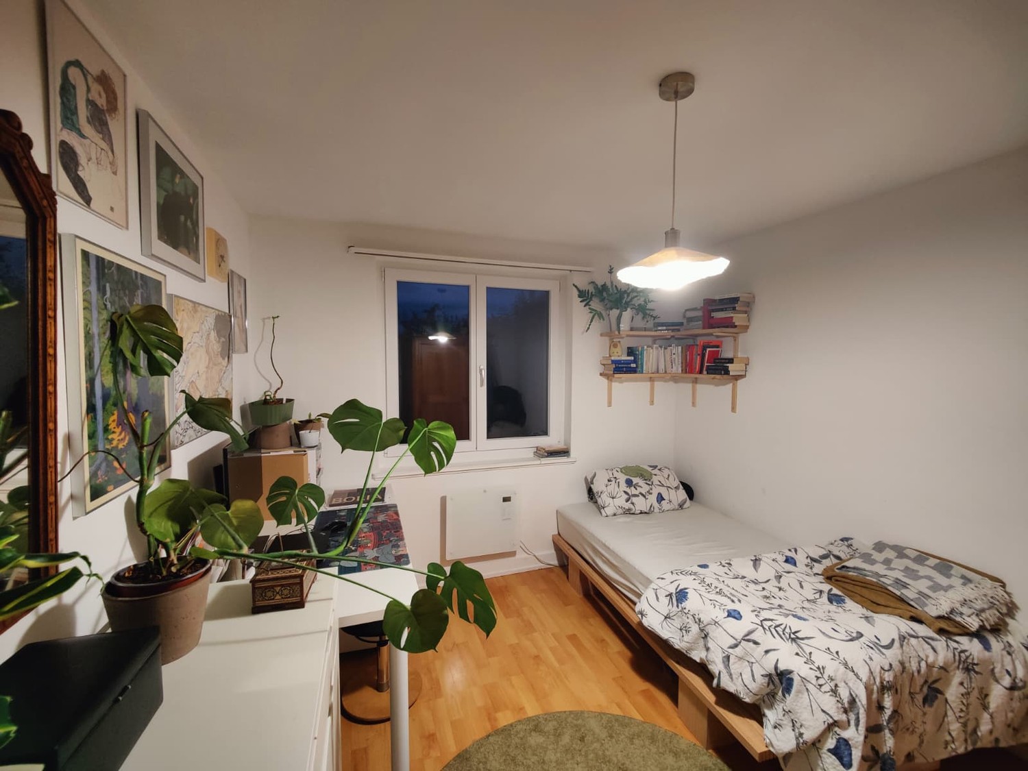 Chambre dans une colocation