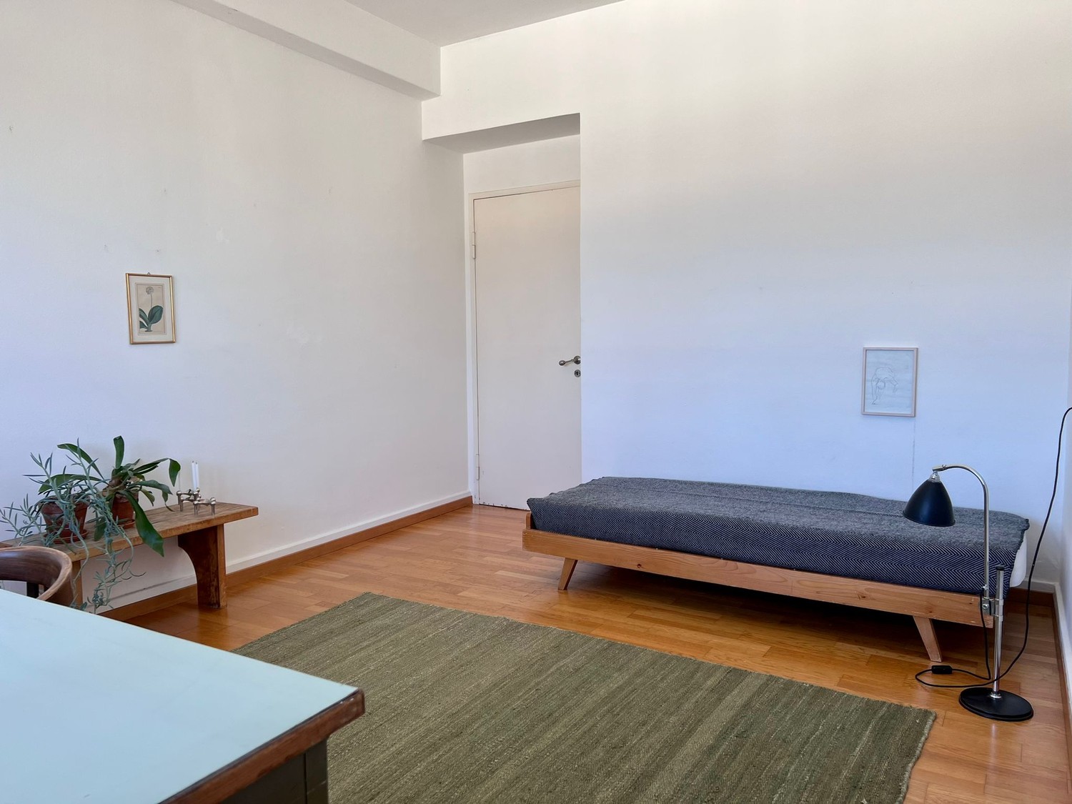 Room in a shared flat