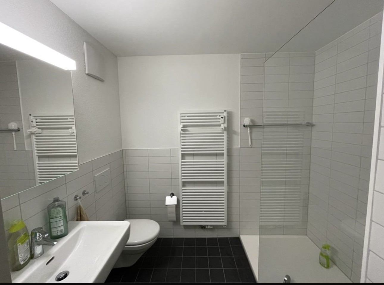1 ½ rooms apartment, Foto 5 von 8