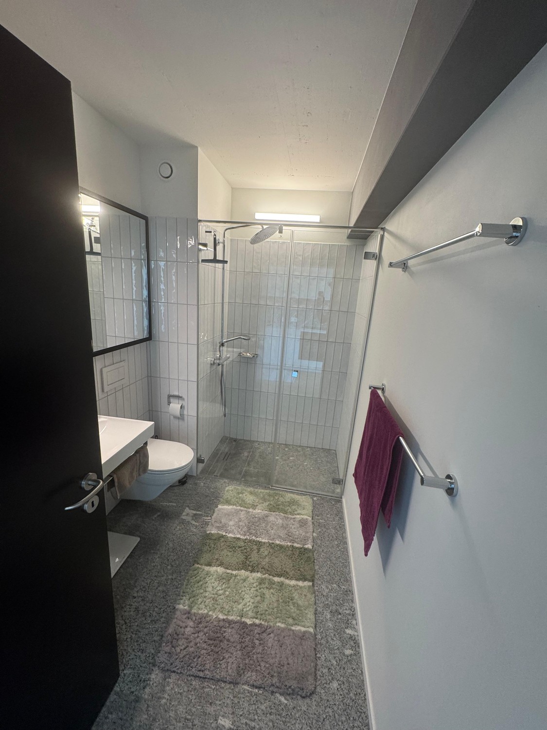 2 ½ Zimmer Wohnung