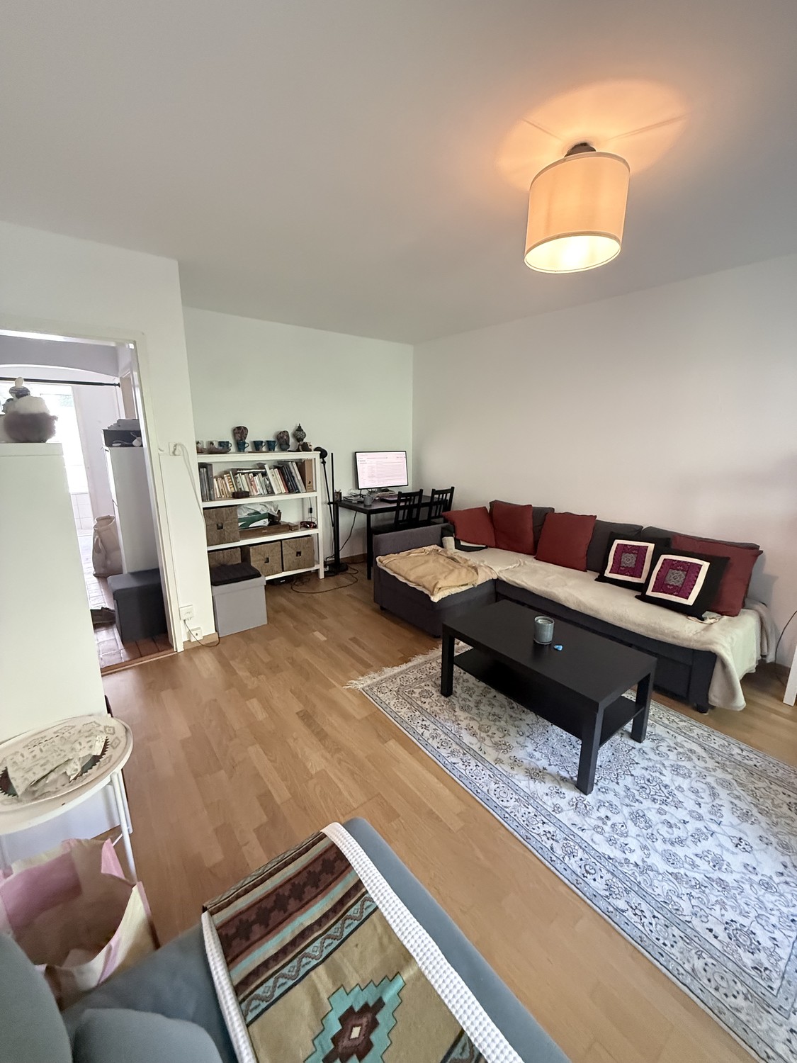 Appartement de 3 ½ pièces