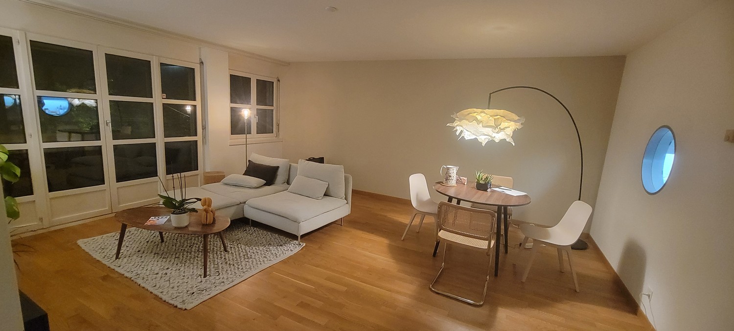 appartement 1 pièce