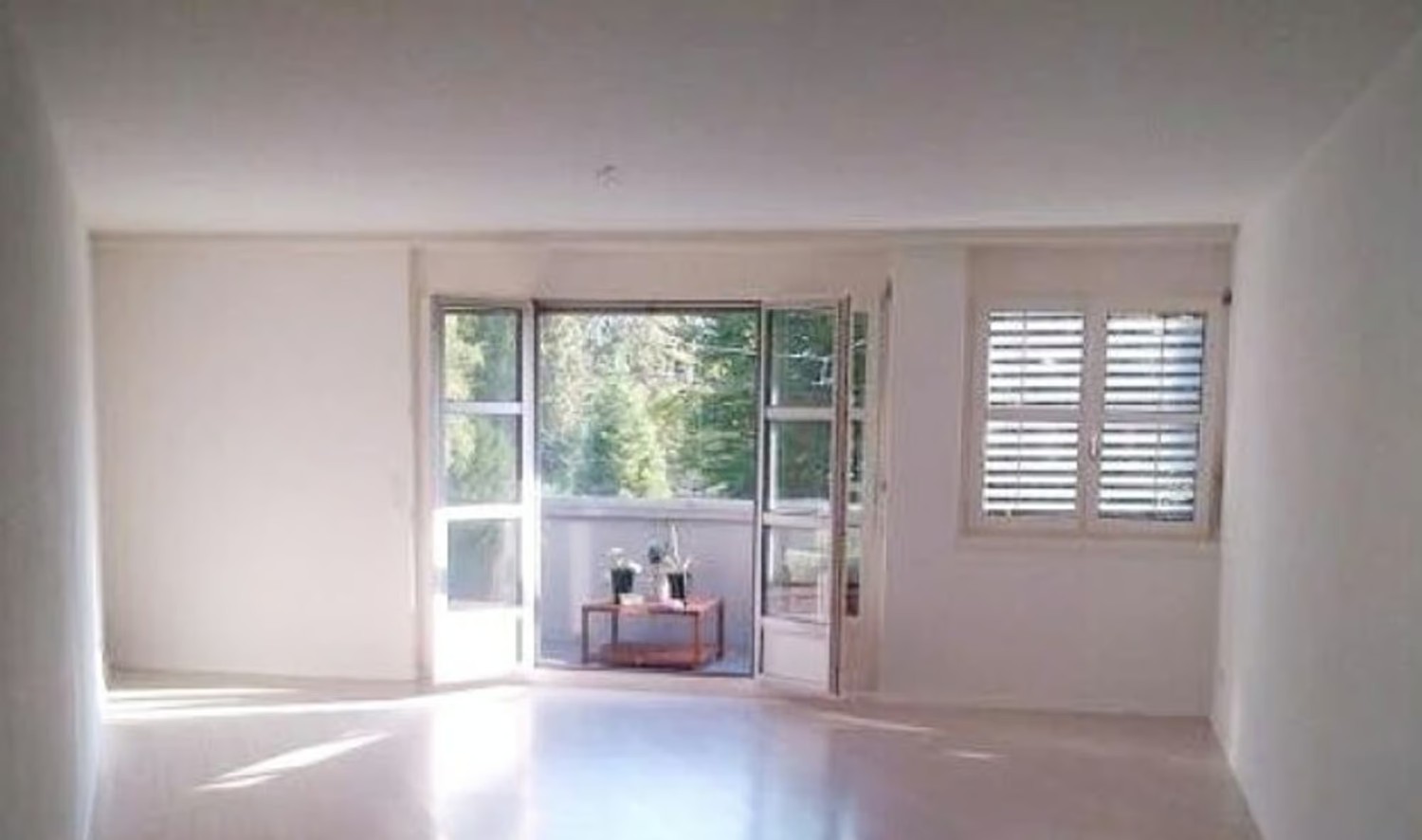 appartement 1 pièce