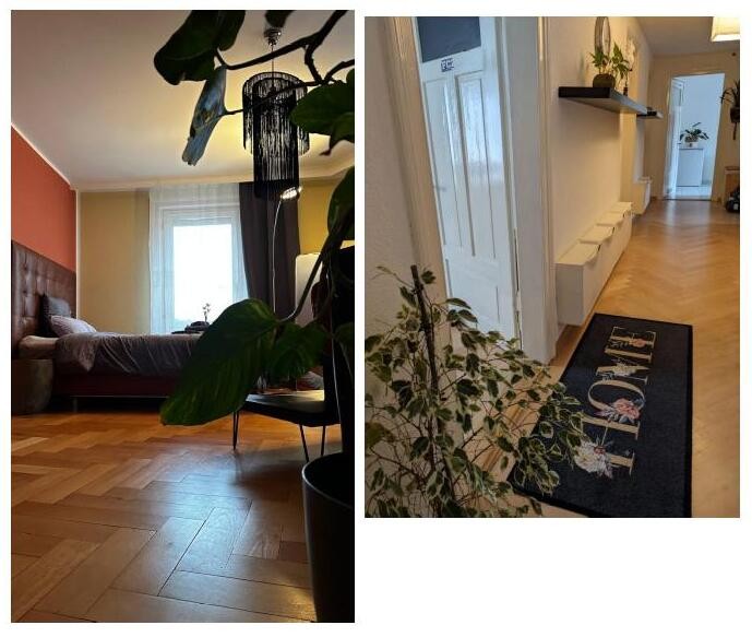 Room in a shared flat