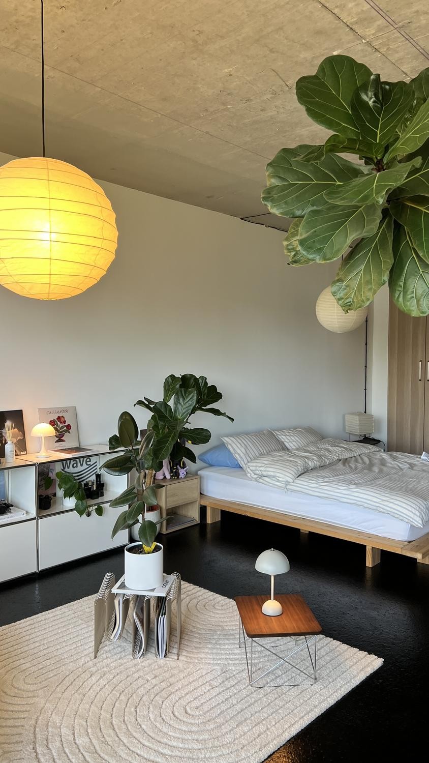 Appartement de 1 ½ pièce