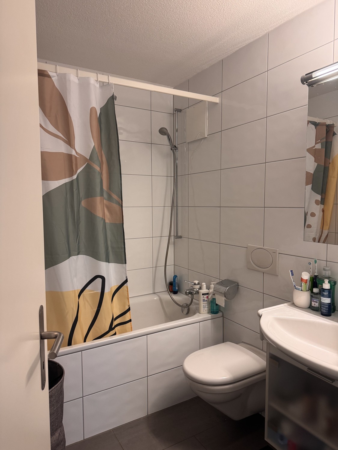 Appartement de 3 ½ pièces
