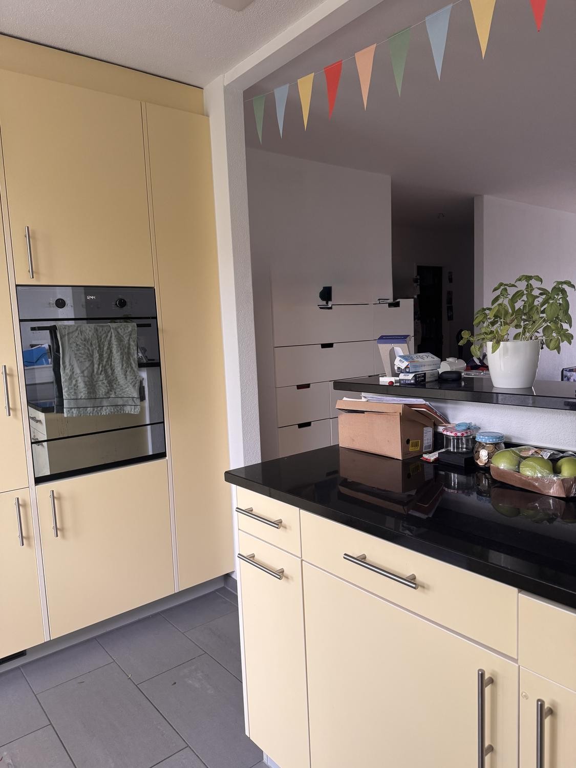 Appartement de 3 ½ pièces