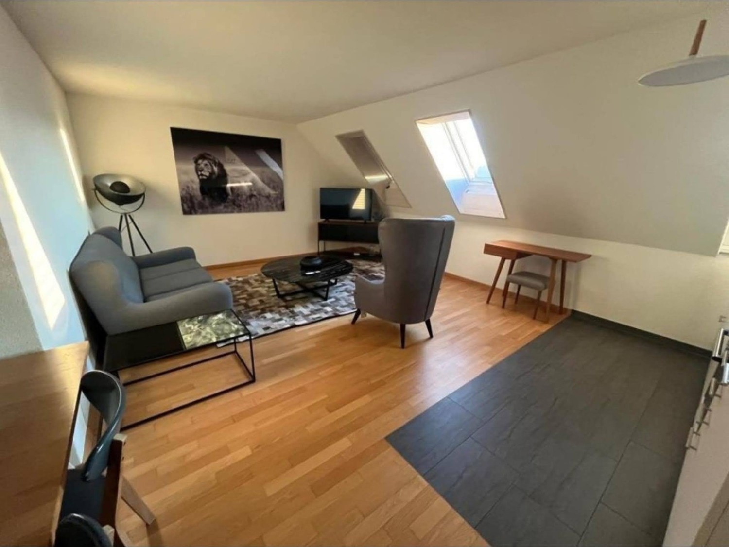 appartement 1 pièce