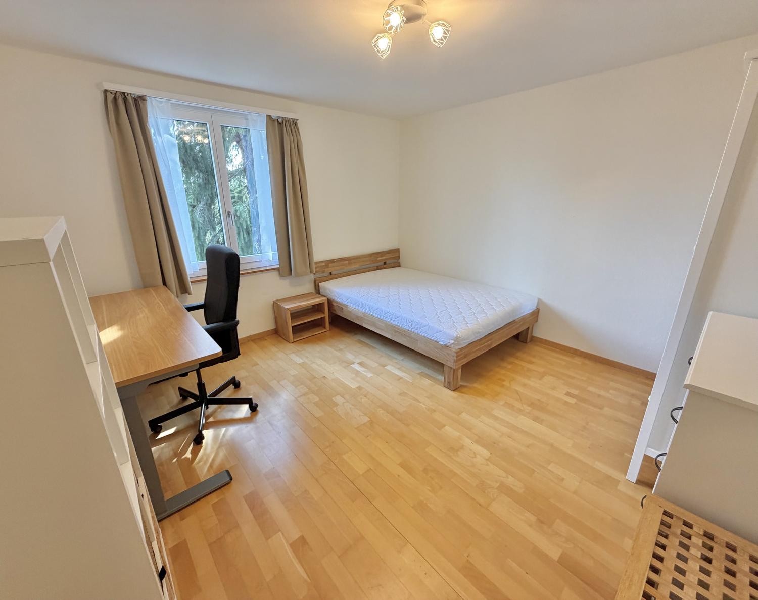 Chambre en colocation