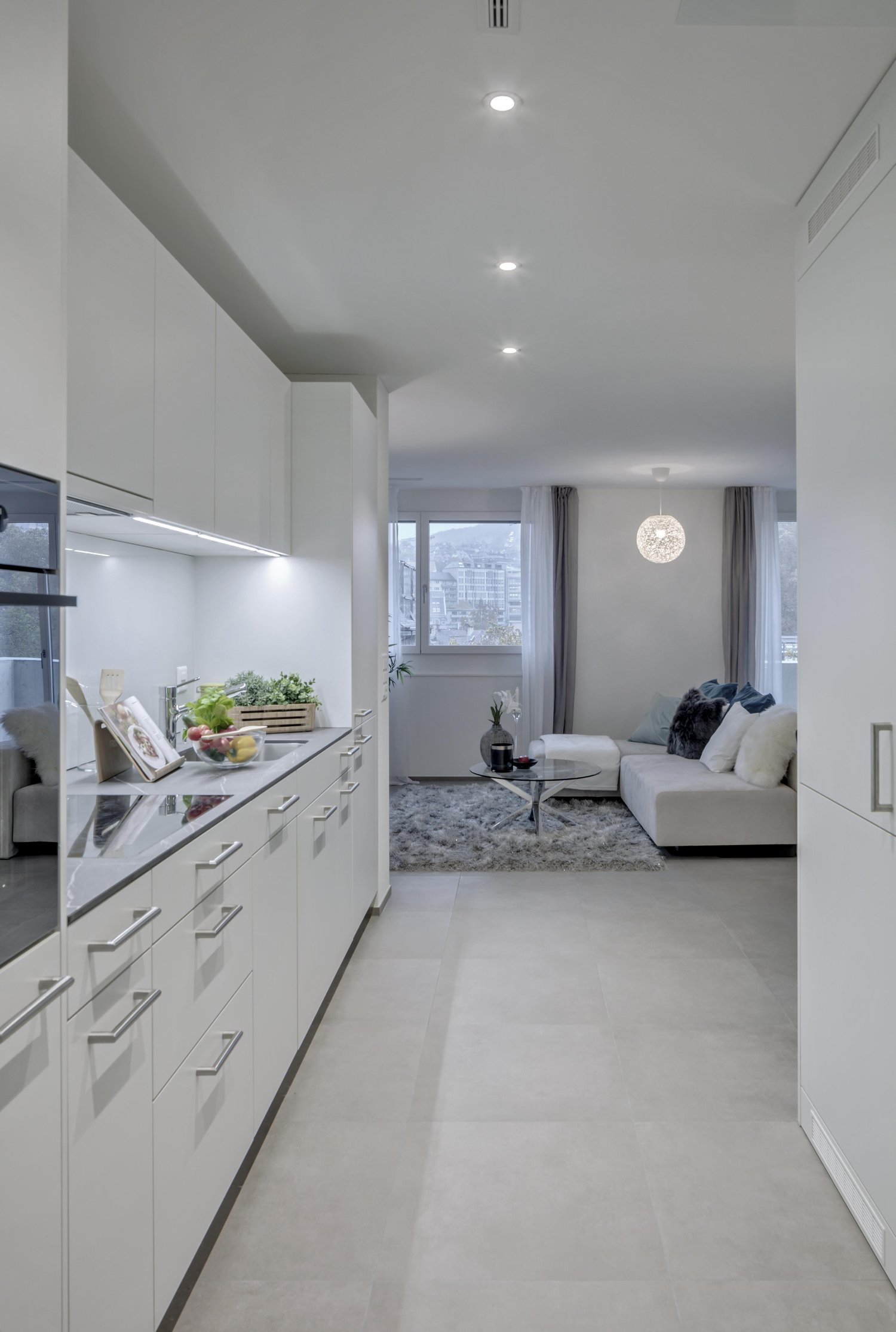 Appartement de 2 ½ pièces