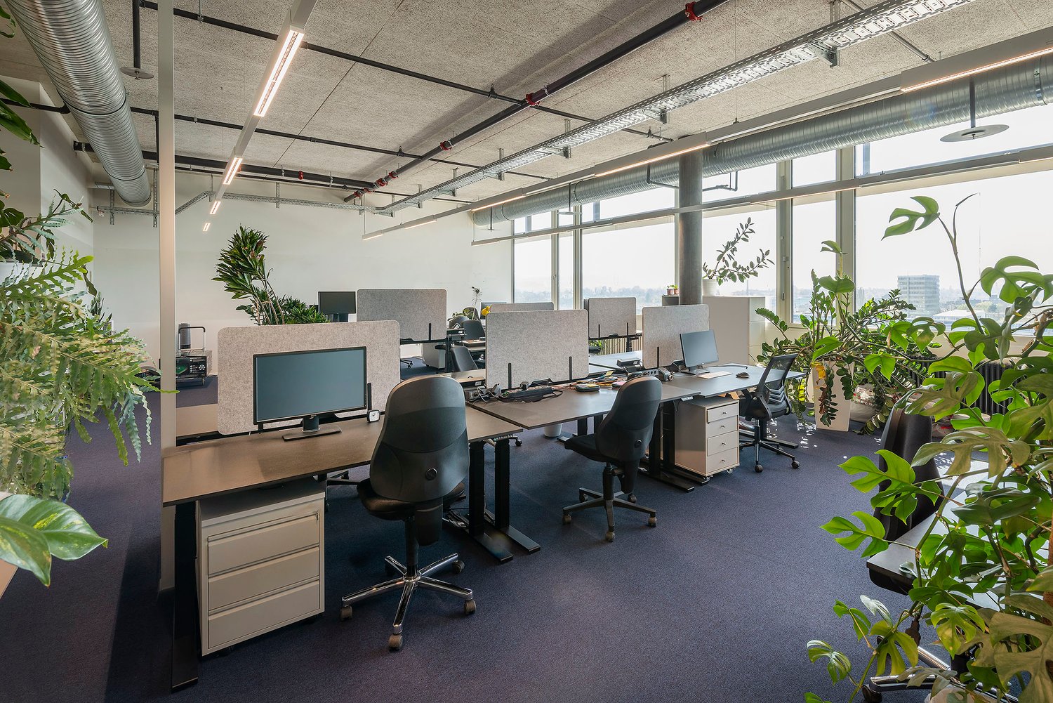 ufficio di 1058m²